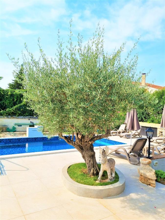 Apartment Villa Engel With Pool 포레치 외부 사진